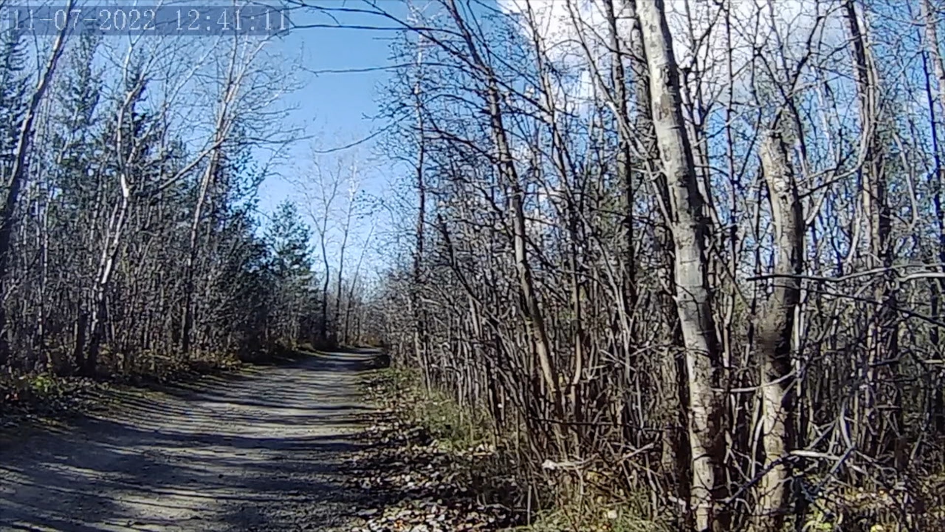 Bois-de-Liesse à vélo en images