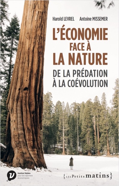 économie écologique